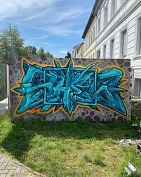 2024 11 SHEW