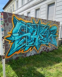 2024 11 | SHEW