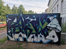 2022 11 KAKTUS SERY