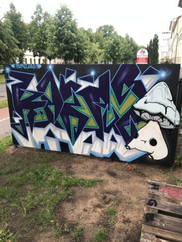 2022 06 KAKTUS SERY
