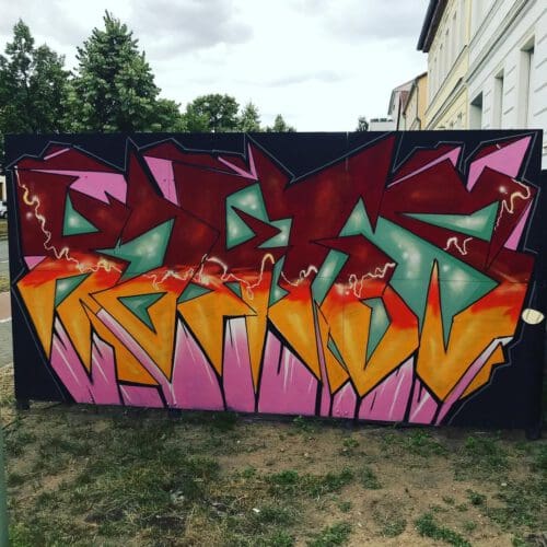 2022 08 KAKTUS SERY