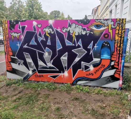 2022 10 KAKTUS SERY