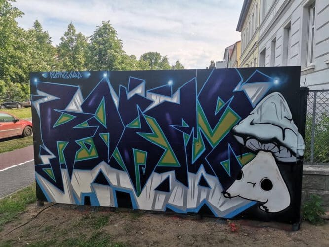 2022 11 KAKTUS SERY